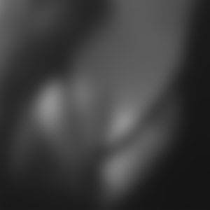 rencontre-Cougar-Millau